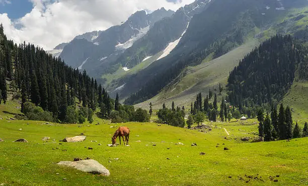 Sonamarg Valley View