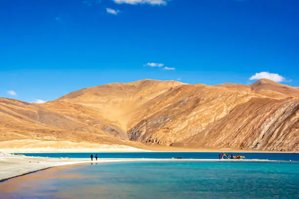 Camel Safari in Nubra Valley - 9 Day Ultimate Package