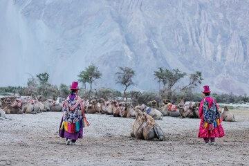 Nubra Valley Special Tour