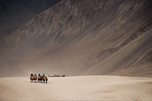 Double Humped Camel Safari on Hunder Sand Dunes, Nubra Valley